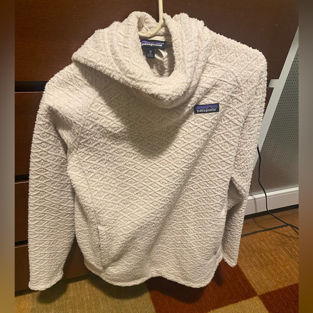 Patagonia hoodie